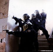 GIGN.jpg
