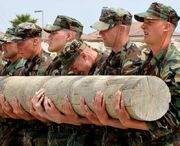 Navysealtraining1.jpg