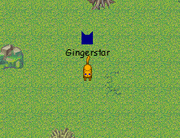 Gingerstar