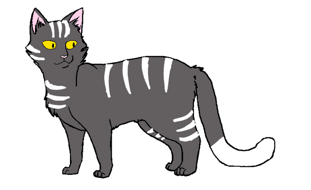 Файл:20150603 170927.png