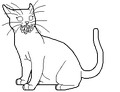Thumbnail for version as of 04:55, August 10, 2015