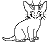 File:Kit.short.female.png