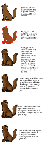 File:SolidCatTutorial.png