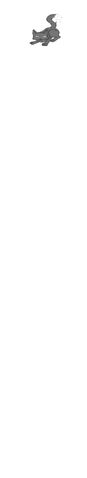 File:Graykit.jpg