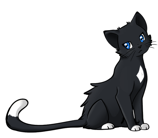 File:KT8nAxgTr.png