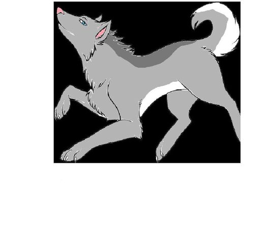 File:Boulder Pack.jpg