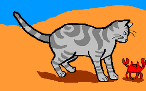 Seafoot1