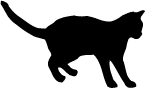 Cat-11
