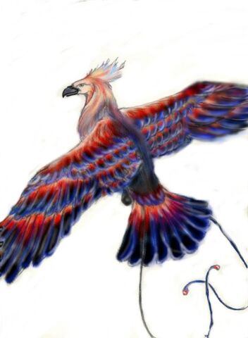 File:Thunderbird prelim.jpg