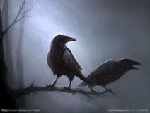 Ravens-wallpaper