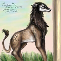 Leucrocotta-1-