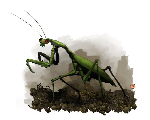 File:Huge-praying-mantis.jpg