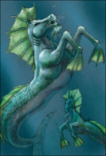 Hippocampus
