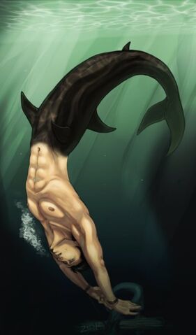 File:Merman-tumblr lnvtutGYoq1qiid8oo1 500.jpg