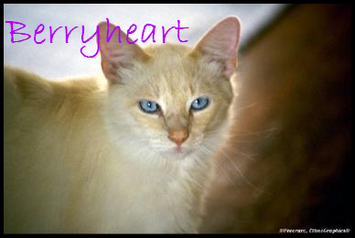 Berryheart