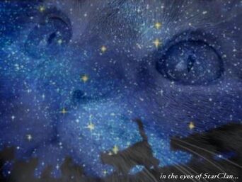Wallpaper-StarclanEyes