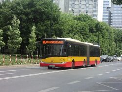 DSC09562.jpg