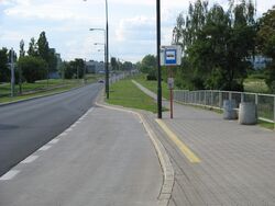 Torunska