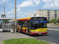 8117-171.jpg