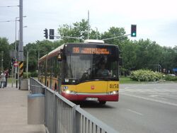 DSC09424.jpg