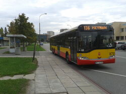 136 (Cynamonowa).jpg