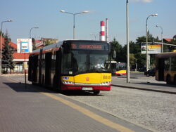 DSC03544.jpg