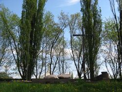 Park Traugutta 2.jpg