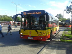 1077-715.jpg