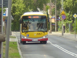 Autobus 196 (Al. Komandosow).jpg
