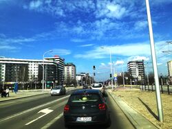 Nowodwory-0.jpg