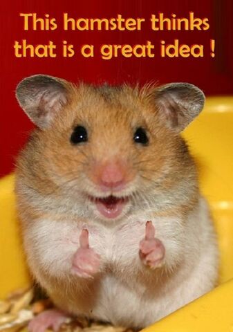 File:Thumbsup.jpg