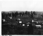 Pinecity1881