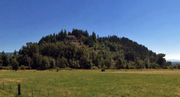Fellhillkingcounty