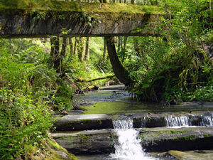 Pigeoncreekwa