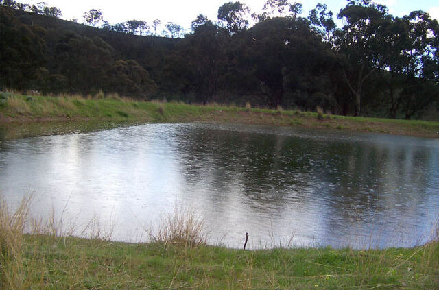 File:Dam.jpg