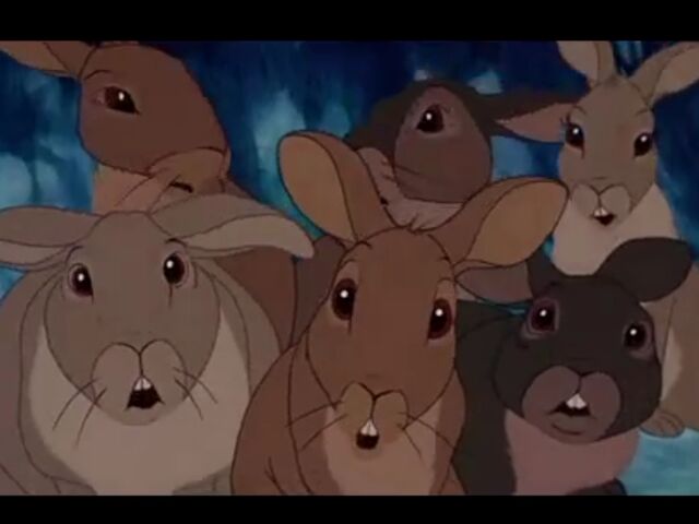 File:Rabbits.jpg