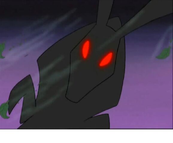 File:Black rabbit of inlé.jpg