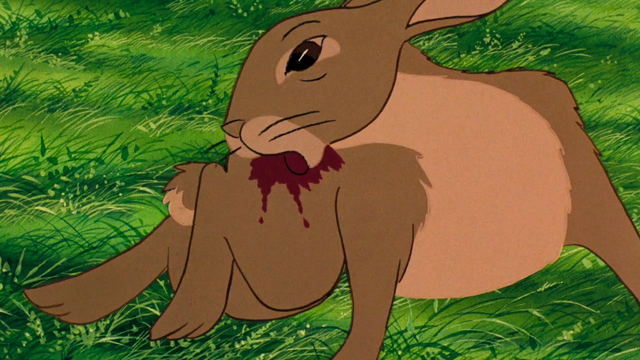File:Vlcsnap-2014-04-28-23h31m35s11.png