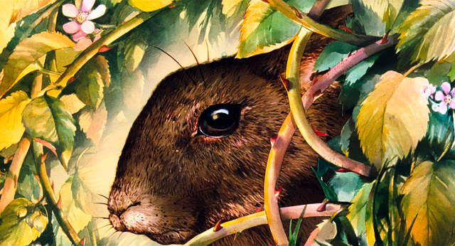 File:First Rabbit.png