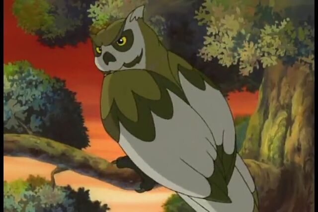 File:Owl.jpg