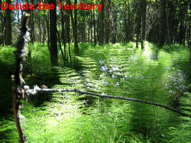 File:Outide of the clan.jpg