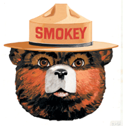 SmokeyBearHead