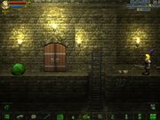 Large door