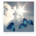 Thumbnail for version as of 16:34, July 10, 2009
