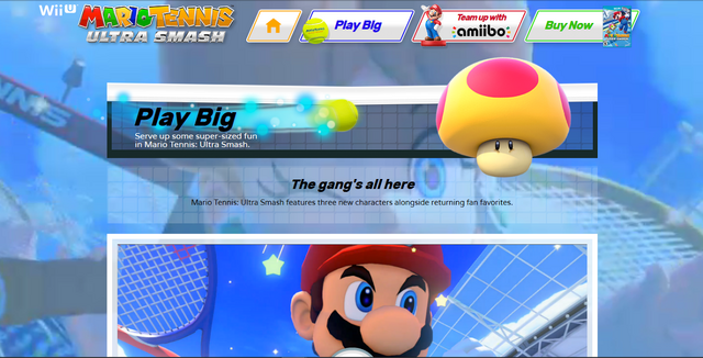 File:USwebsite.png