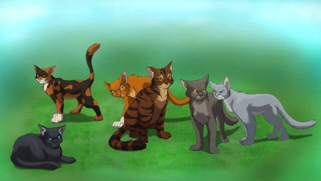 File:Cats6.jpg
