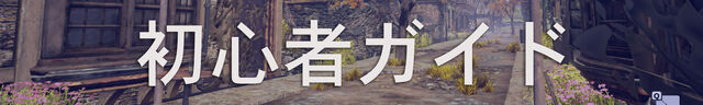 ファイル:初心者ガイド.jpg