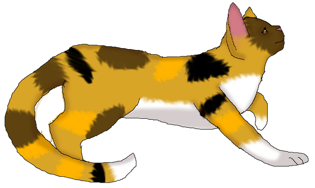 File:Spottedpetal.Warrior.png