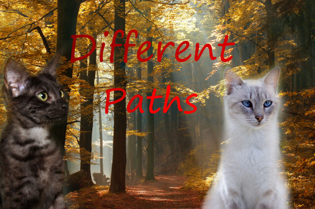 File:Different Paths.jpg