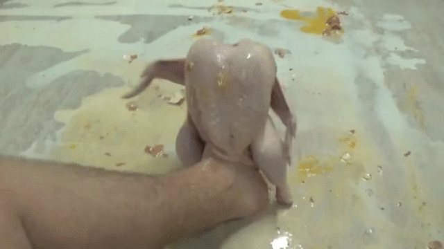 File:Turkey.gif